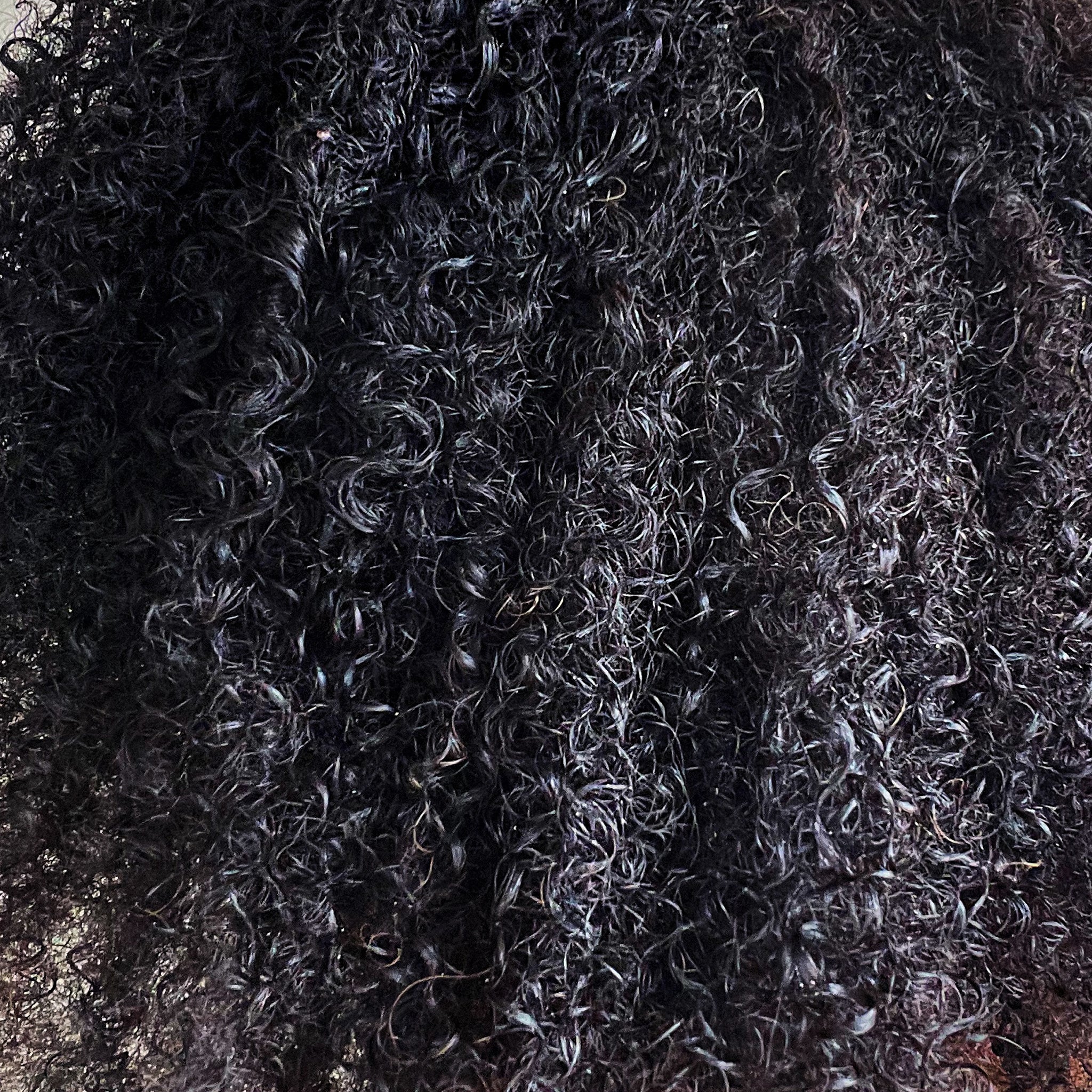 Avocado Moisturizing Conditioner