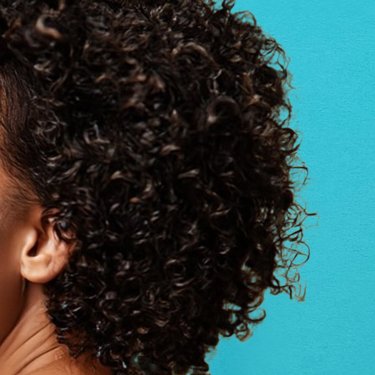 Curl Moist Conditioner