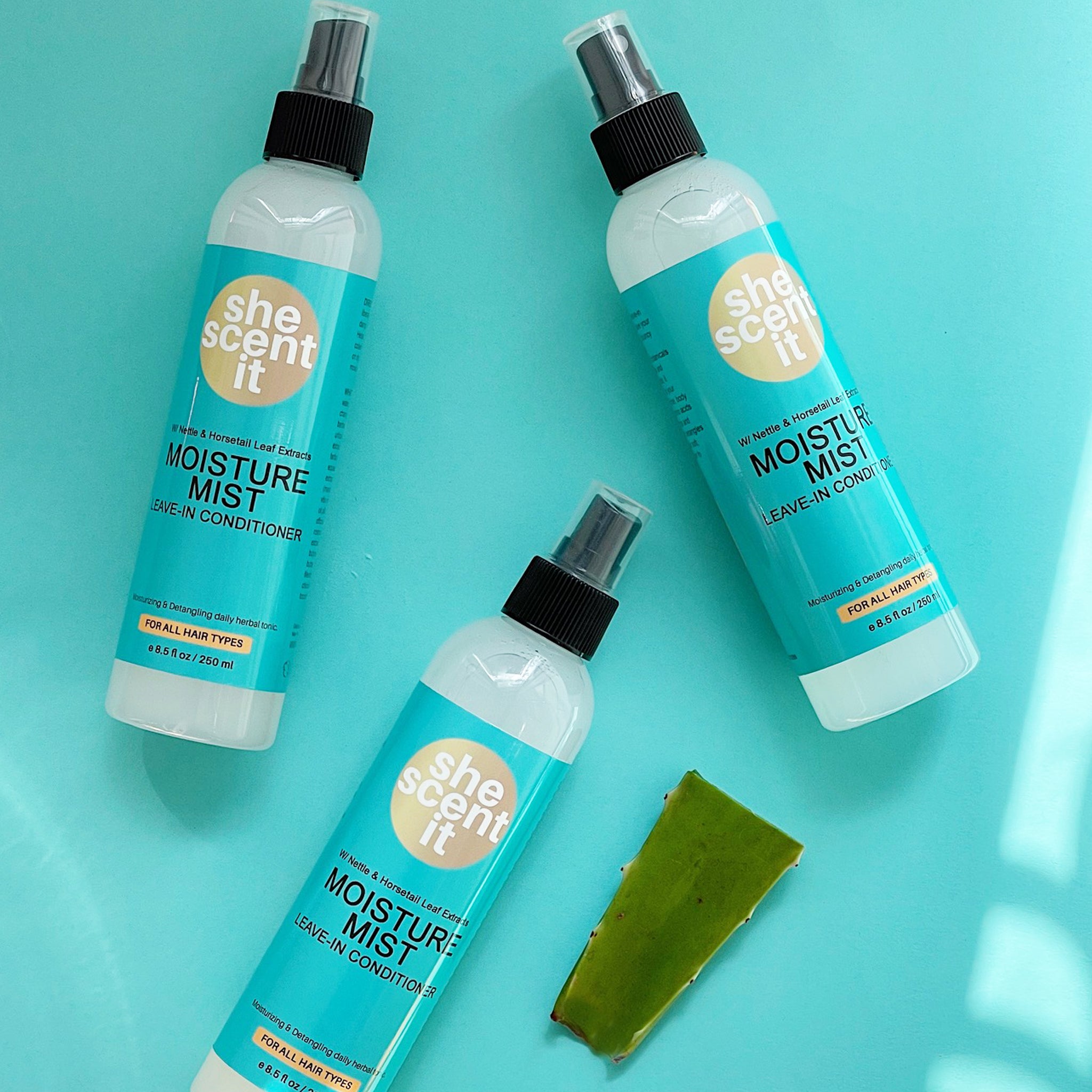 Moisture Mist Leave-In Conditioner