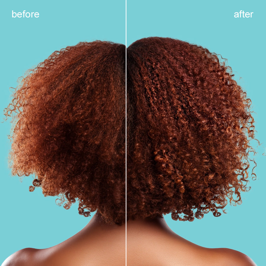 Moisture Mist Leave-In Conditioner