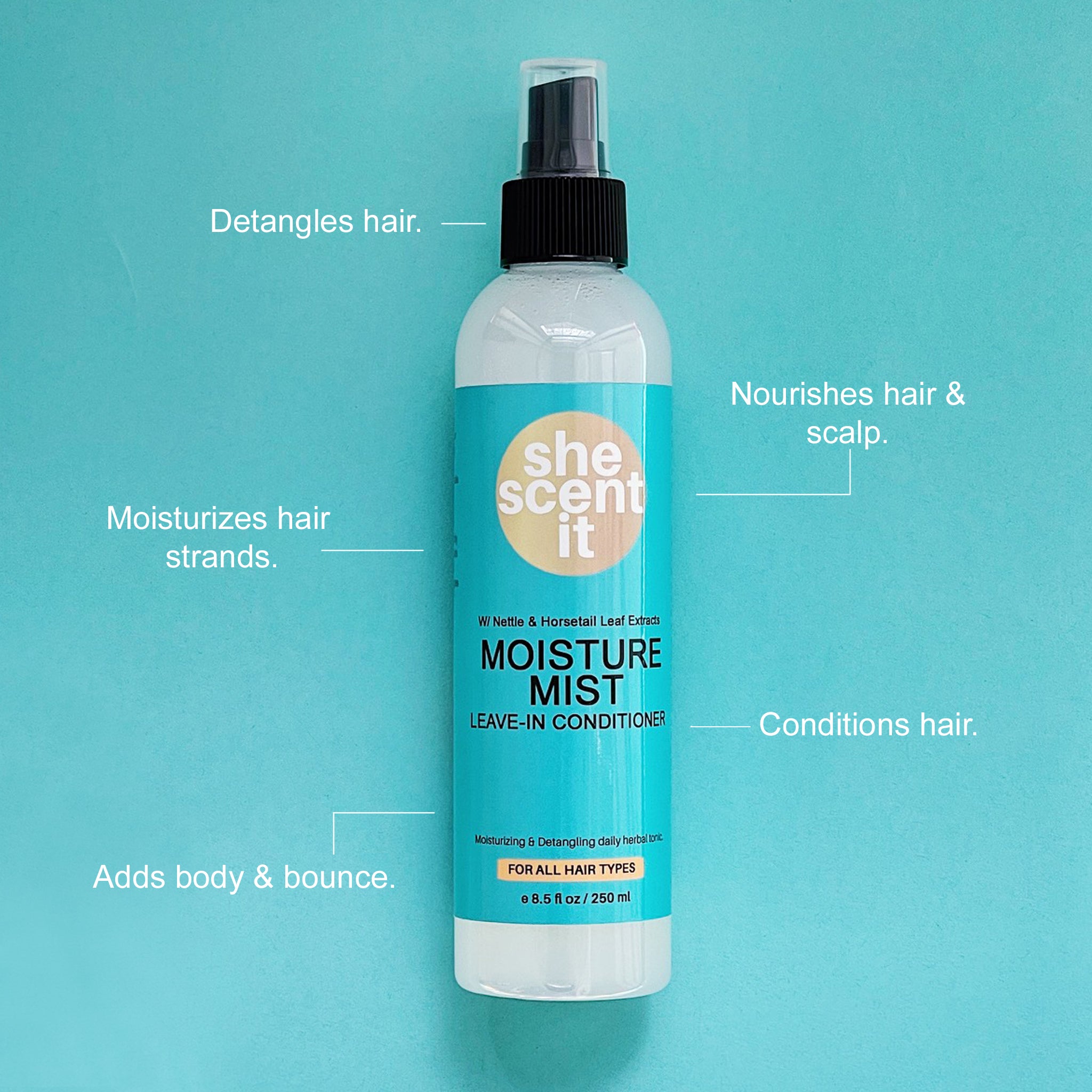 Moisture Mist Leave-In Conditioner