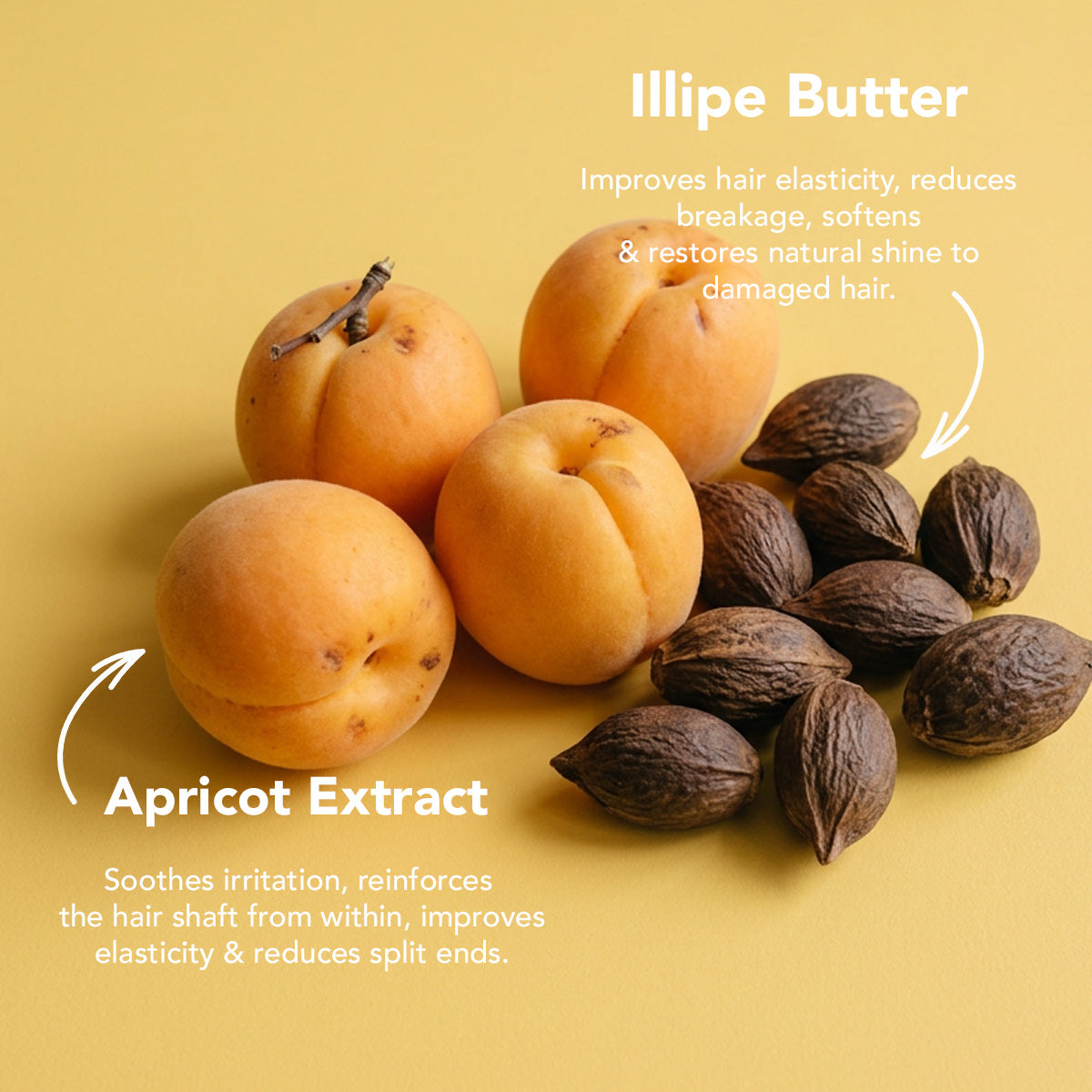 Apricot &amp; Illipe Softening Milk Shake