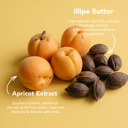 Apricot &amp; Illipe Smooth &amp; Shine Hair Butter