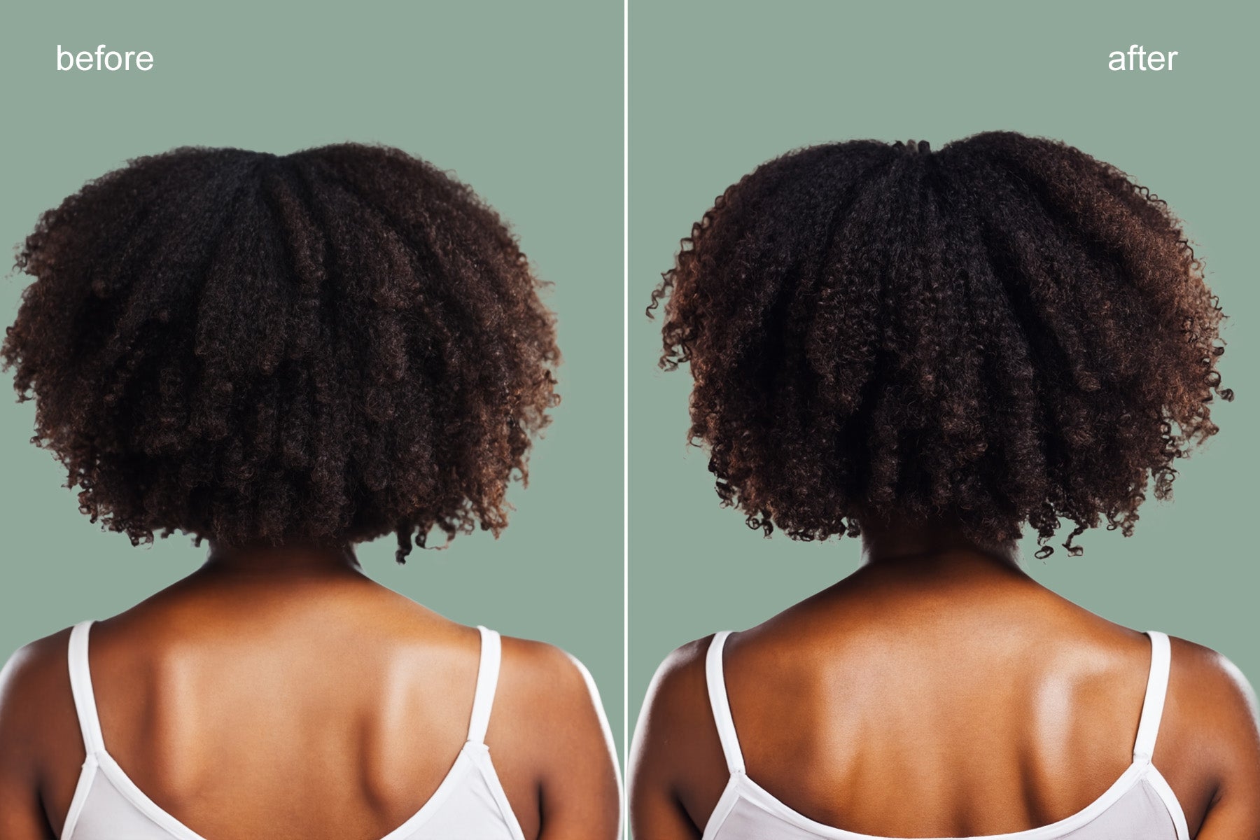 Avocado Moisturizing Leave-In Conditioner