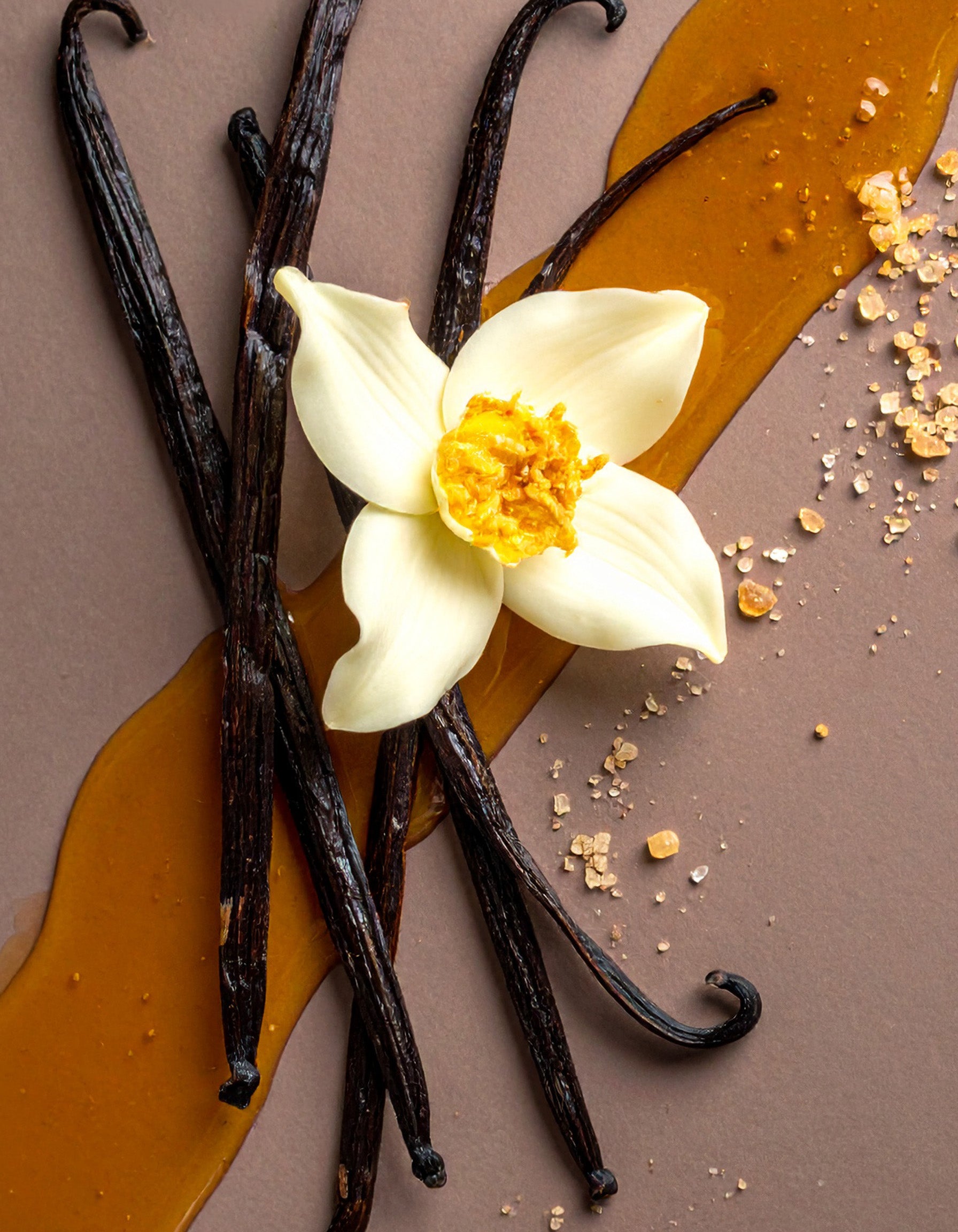 Eau De Parfum Vanilla Honey